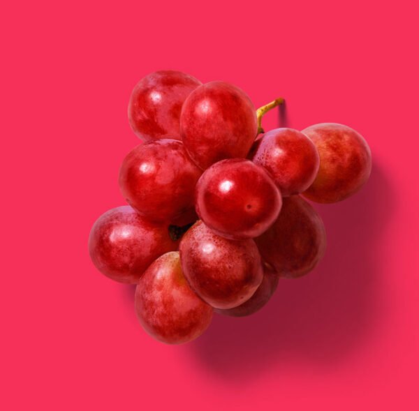 update-portfolio-06 update-portfolio-06